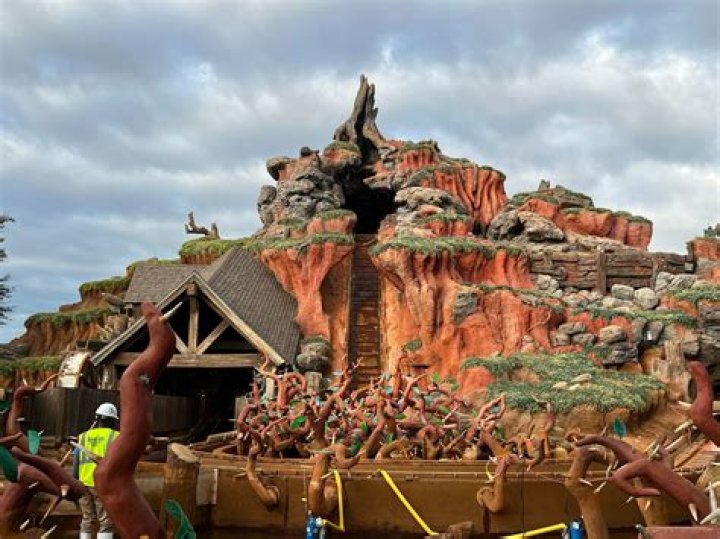 Gator In Disney World Ride Water in 2009 – Hollywood Life