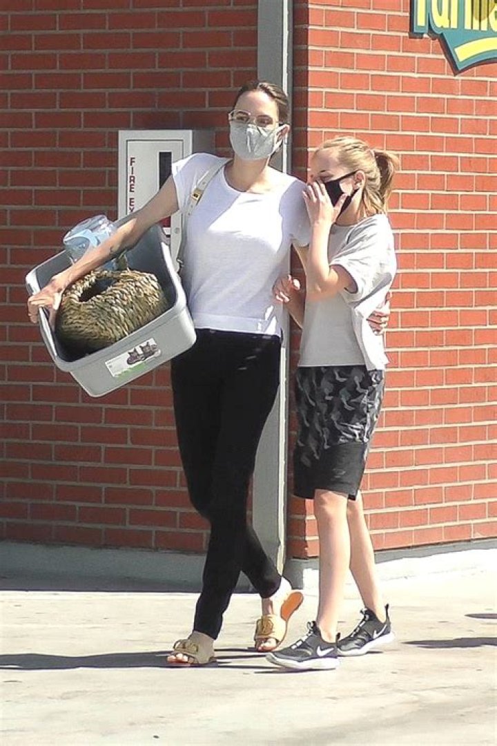 Angelina Jolie Wraps Her Arm Around Daughter Vivienne, 12, After Shopping For Pet Supplies – Pic