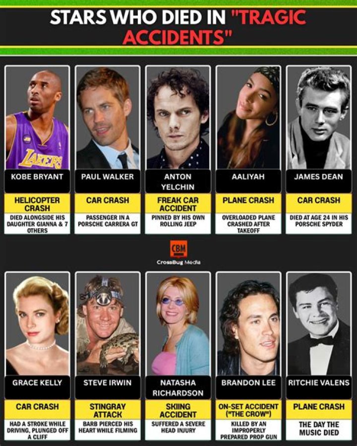 Anton Yelchin Died Almost Instantly After Jeep Struck Him – Hollywood Life