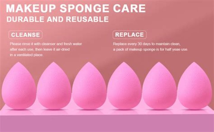 Highest-Rated Blender Sponges of 2023 – Hollywood Life Reviews – Hollywood Life