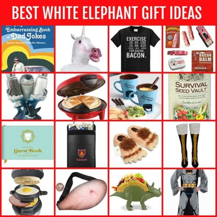 Hottest White Elephant Gifts of 2024 – Hollywood Life Reviews – Hollywood Life