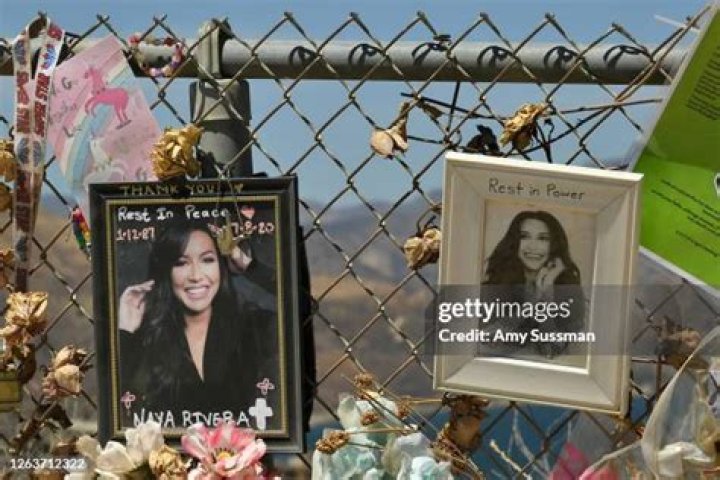 See His Heartbreaking Reaction – Hollywood Life