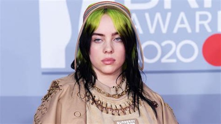 Billie Eilish’s Black Swimsuit On Vacation In Mountains – Photos – Hollywood Life