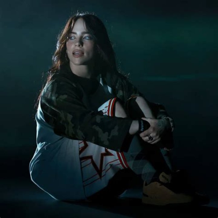 Billie Eilish Reveals She’s ‘Physically Attracted’ to Women – Hollywood Life