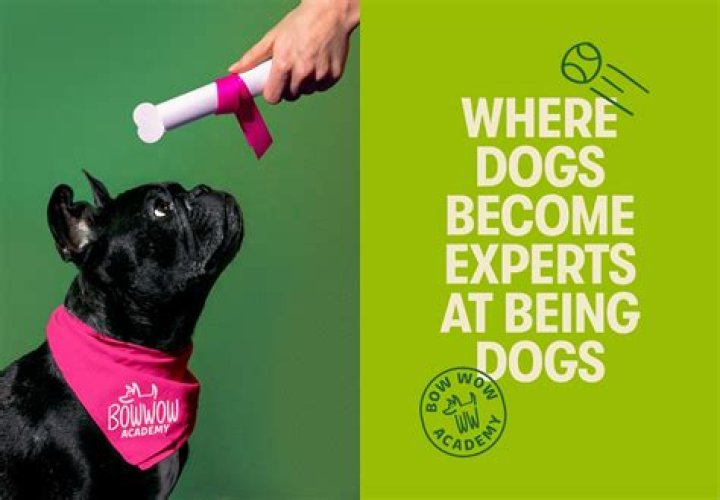 Bow Wow Shoots His Shot With Singer DaniLeigh After He Vows To Never Marry — See Message