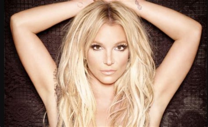 Britney Spears Poses Nude To Celebrate ‘Hold Me Closer’ Single: Photo – Hollywood Life