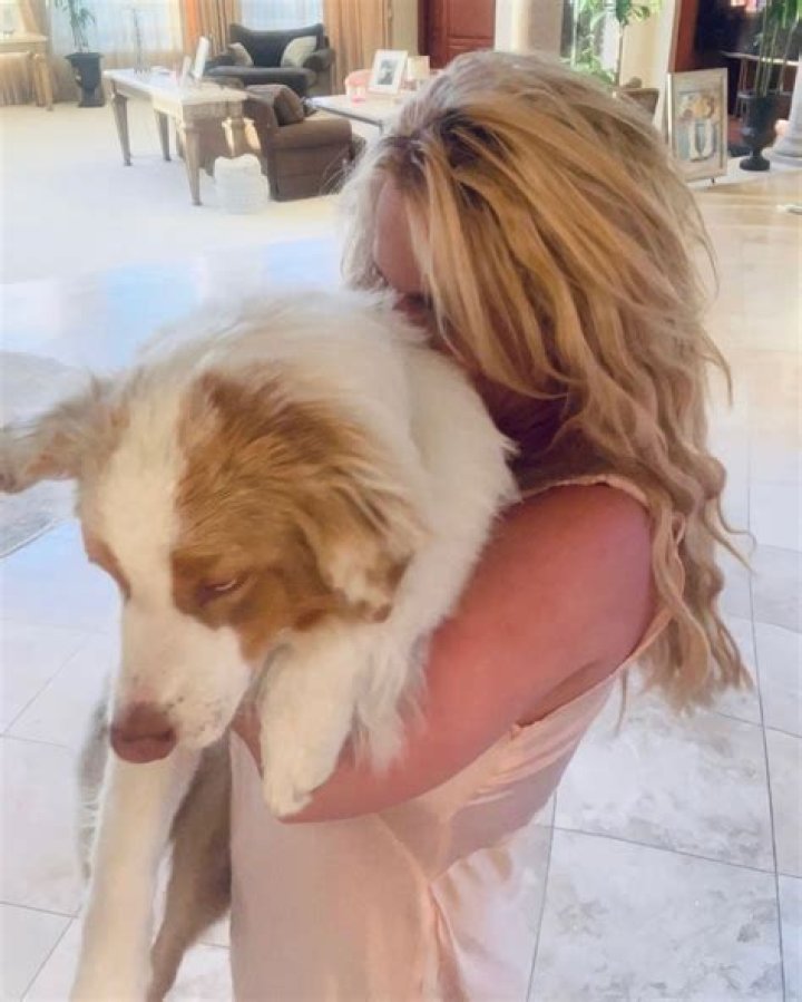 Britney Spears Appears Distraught While Rushing Dog to Vet in Middle of the Night on Birthday