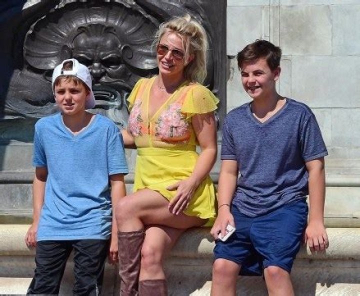 Britney Spears’ Sons Are ‘On Board’ With Her Wanting Another Baby: ‘They’d Love’ A New Sibling