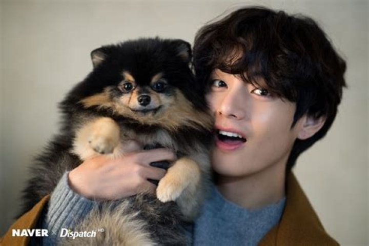 BTS’ V Finally Reunites With His Dog, Yeontan, & Fans Are So Happy — Pics