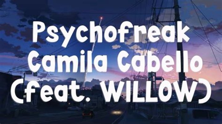 Camila Cabello Says She ‘Doesn’t Blame’ 5H Girls For How ‘Things Went Down’ In Willow Smith Collab