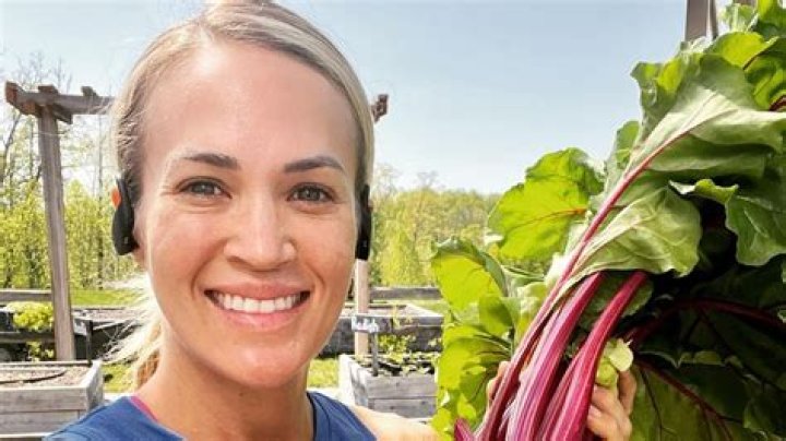 Carrie Underwood Goes Makeup Free As She Works Out: Pic – Hollywood Life