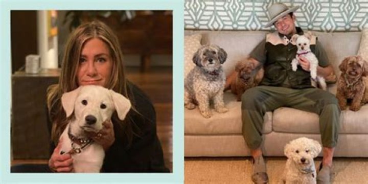 Stars With Their Pooches, Puppies, & Doggos – Hollywood Life