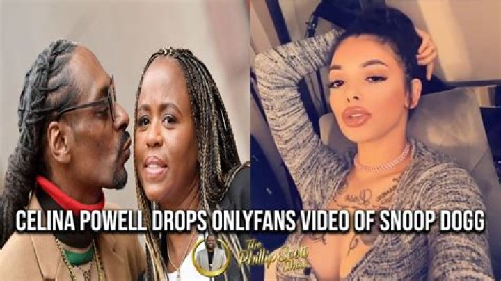 See Receipts – Hollywood Life