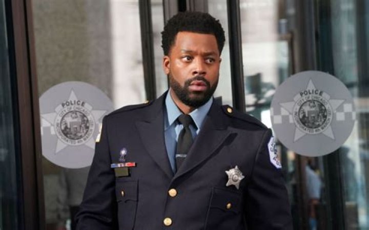 ‘Chicago P.D.’ Premiere Takes On Racial Tensions + Life After Lindsay – Hollywood Life