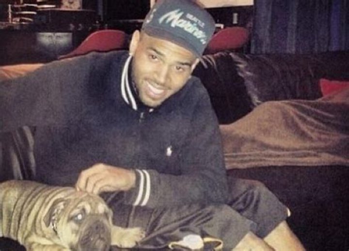 Chris Brown Has Found A New Love — Meet His Adorable Puppy