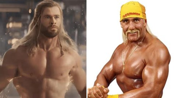 Fans Are Divided – Hollywood Life