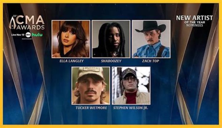 Full List Of CMAs Winners – Hollywood Life