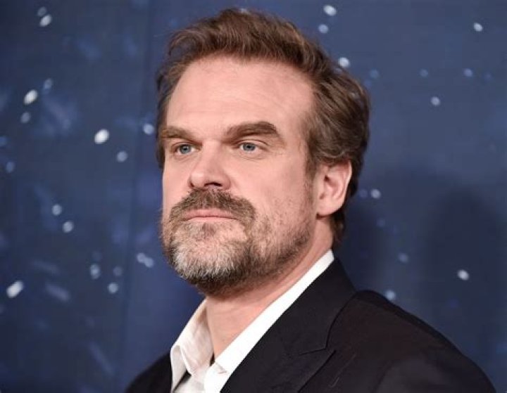 David Harbour Bio – Hollywood Life