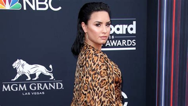 Demi Lovato Shuts Down Rumor That She Was Ordering Alcohol & Smoking Weed 16 Mos. After Relapse