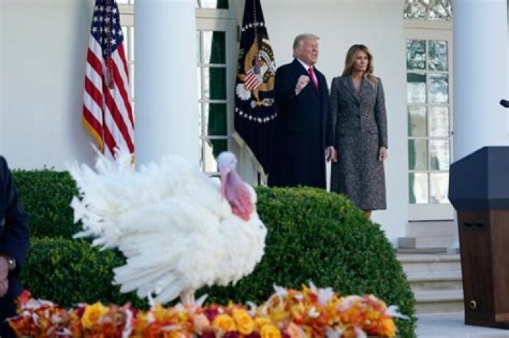 White House Turkey Pardon 2020 — Pics