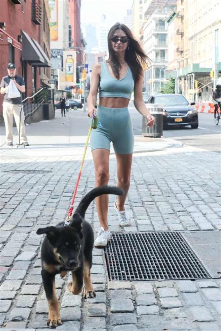 Emily Ratajkowski Looks Fit In Ab-Baring Crop Top & Tight Bike Shorts While Walking Dog – Pics