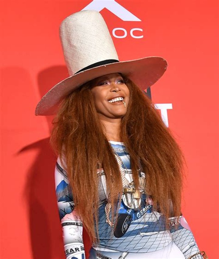 Singer Debuts Mini Ponytails – Hollywood Life