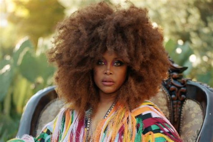 Erykah Badu Celebrity Profile – Hollywood Life