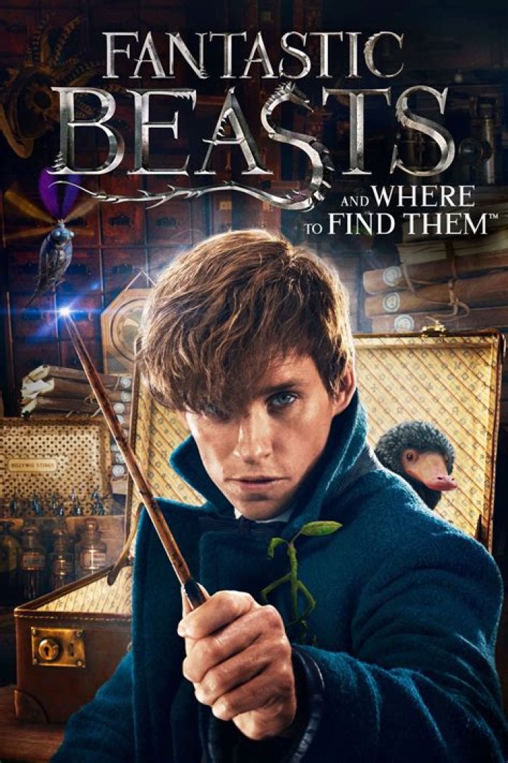 ‘Fantastic Beasts & Where To Find Them’: 3 Ways To Survive The Wait For The Movie