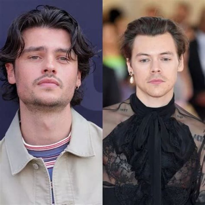 Felix Mallard On Harry Styles & More – Hollywood Life