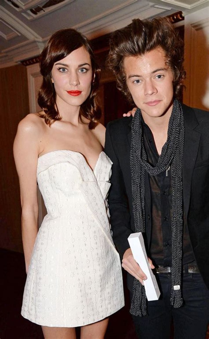 Harry Styles’ Famous Ex Girlfriends — PICS
