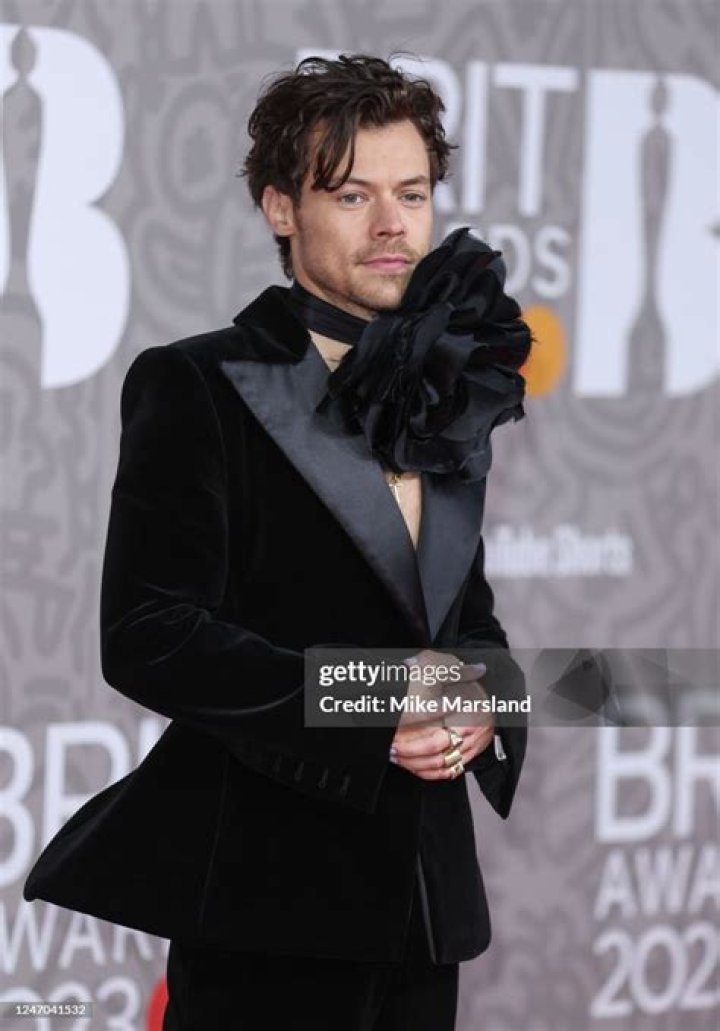 Harry Styles Shows Off His Hair & Suit At The 2021 BRIT Awards – Hollywood Life