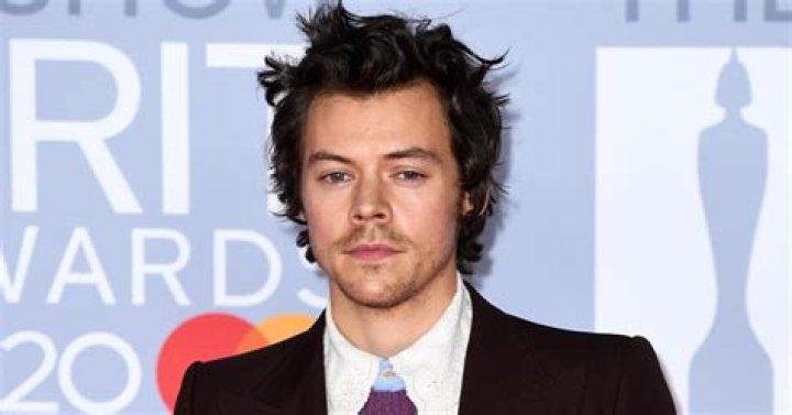 Harry Styles Defends Not Labeling Himself & Sexuality In New Interview – Hollywood Life