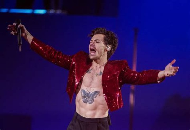 Harry Styles Ditches His Shirt To Take A Swim In His Flirty New ‘Golden’ Video — Watch
