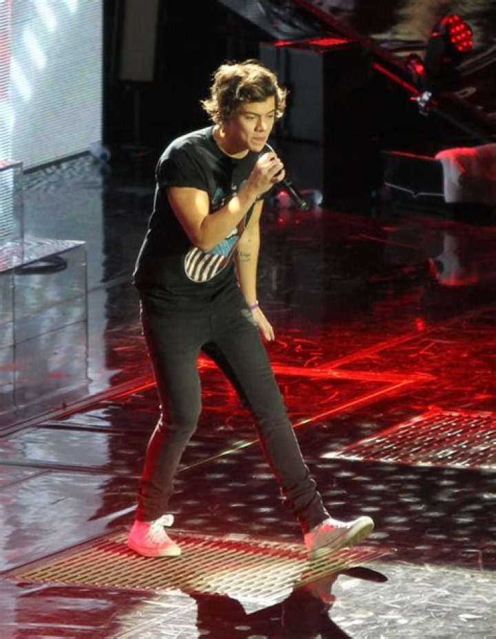 [VIDEO] Harry Styles Throws Up On Stage — 1D Star Pukes In Concert – Hollywood Life