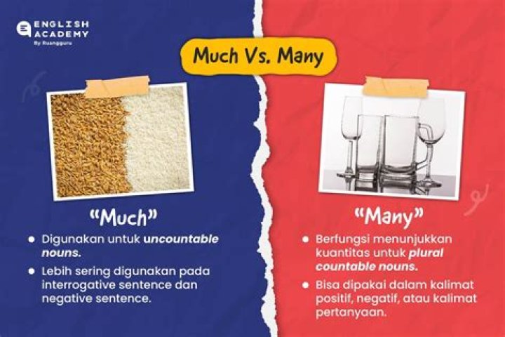 How Much Is Al Pacino Paying Noor Alfallah in Child Support? Inside Their Deal