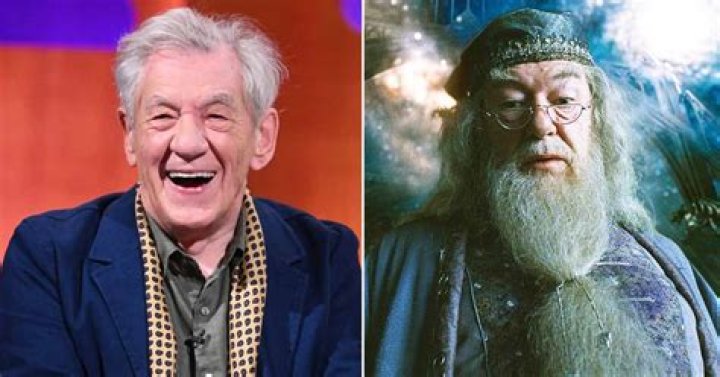 I Played A Real Wizard In ‘Lord Of The Rings’ – Hollywood Life