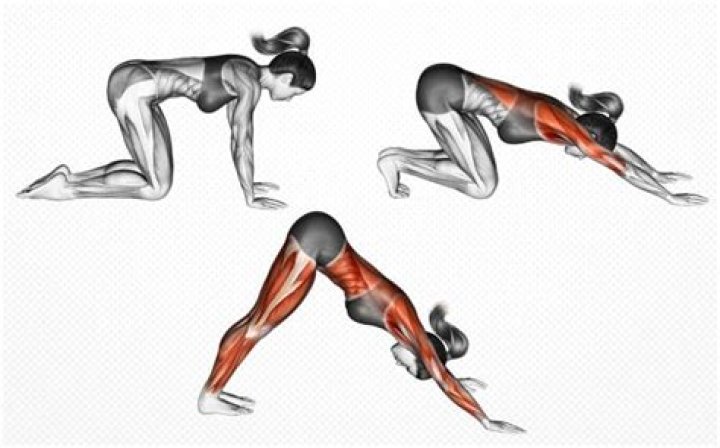 Jada Pinkett Smith, 48, Shows Off Impressive Arm Strength While Doing Pushups To Downward Dogs