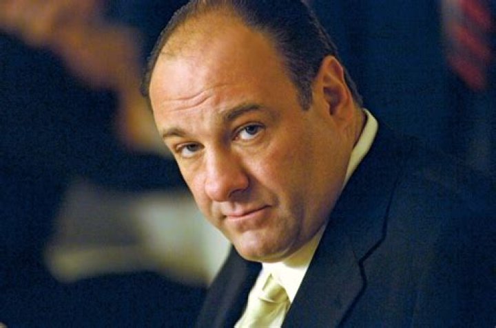 AKA Tony Soprano – Hollywood Life