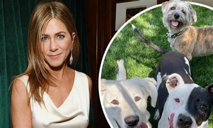 Jennifer Aniston’s Adorable Dog Chesterfield Takes Over IG Video As She Shows Off Hair Product