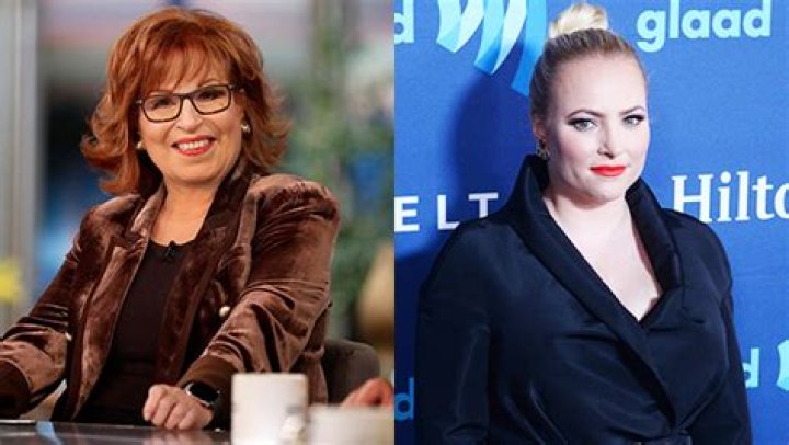 Fans Think Joy Behar Shaded Meghan McCain: ‘The Panel Is Perfect Now’