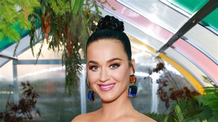 Pregnant Katy Perry Devours Pickles While Social Distancing: ‘What Day Is It Even?’