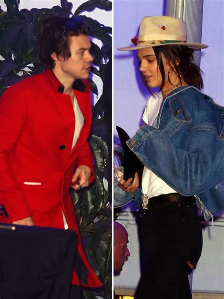Kendall Jenner & Harry Styles: Former Lovers Attend Same Concert — Awkward Run-In?