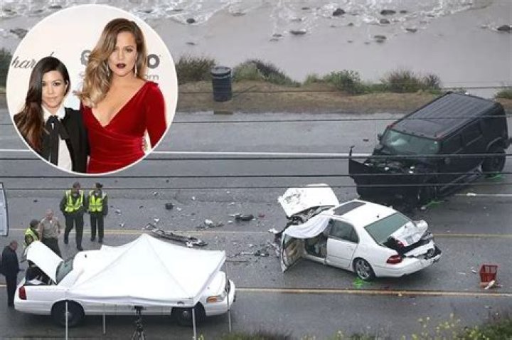 First Picture Of Crash – Hollywood Life