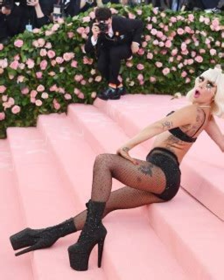 Lady Gaga Wears Boa Made Of $100 Bills On Plane: Photo – Hollywood Life