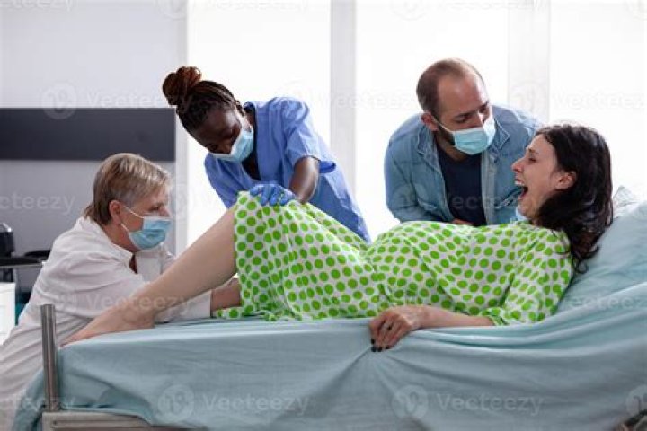 Lake Bell Welcomes Second Child With Husband Scott Campbell — It’s A Boy