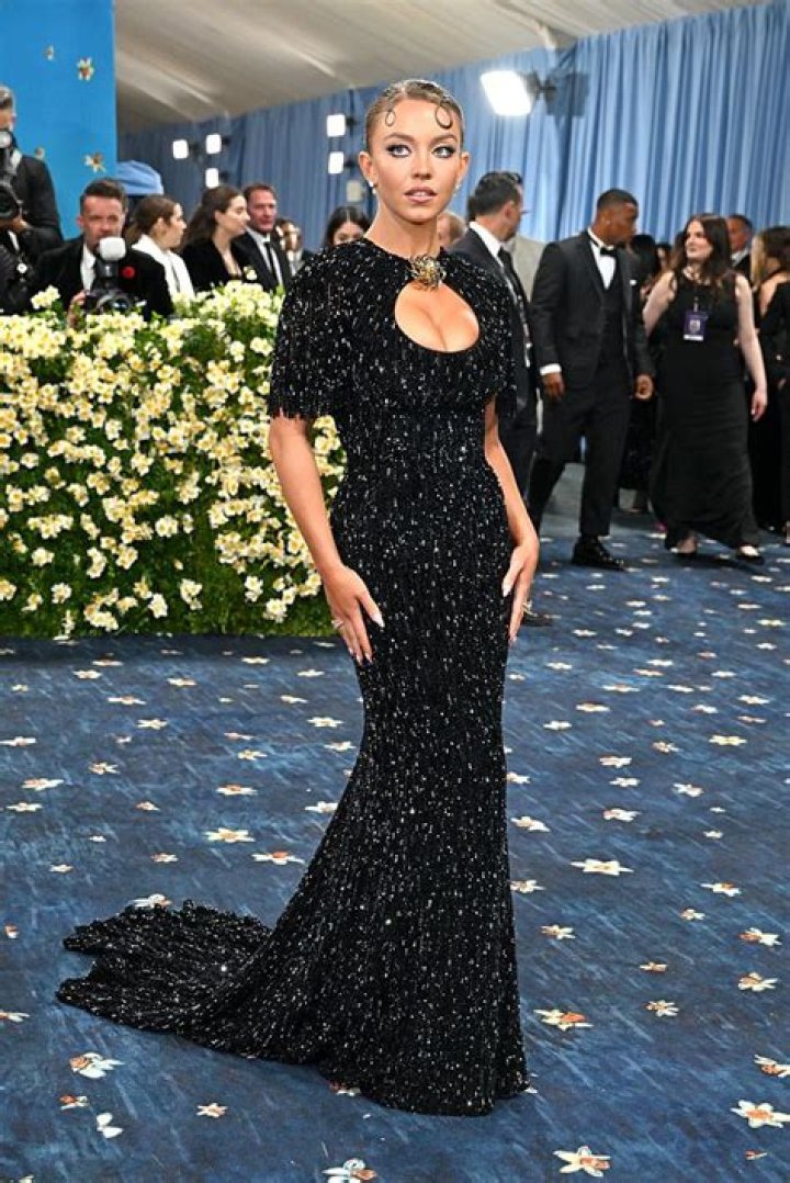 Lena Dunham’s Dress At Met Gala 2019 – Photos Of Her Rubber Gloves – Hollywood Life