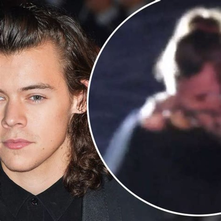 Liam Payne Crying & Screaming At Harry Styles The Night They Cancelled Concert – Hollywood Life