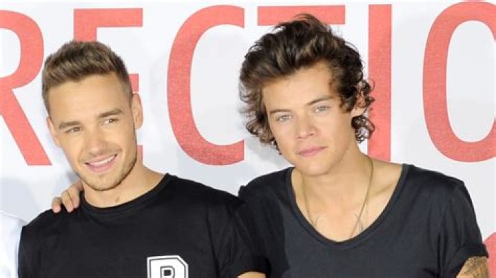 Liam Payne Disses Harry Styles’ New Music: Watch – Hollywood Life