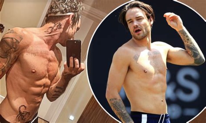 Louis Tomlinson Rips Open Liam’s Shirt In Concert – Hollywood Life