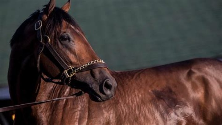 Magnum Moon — Pics